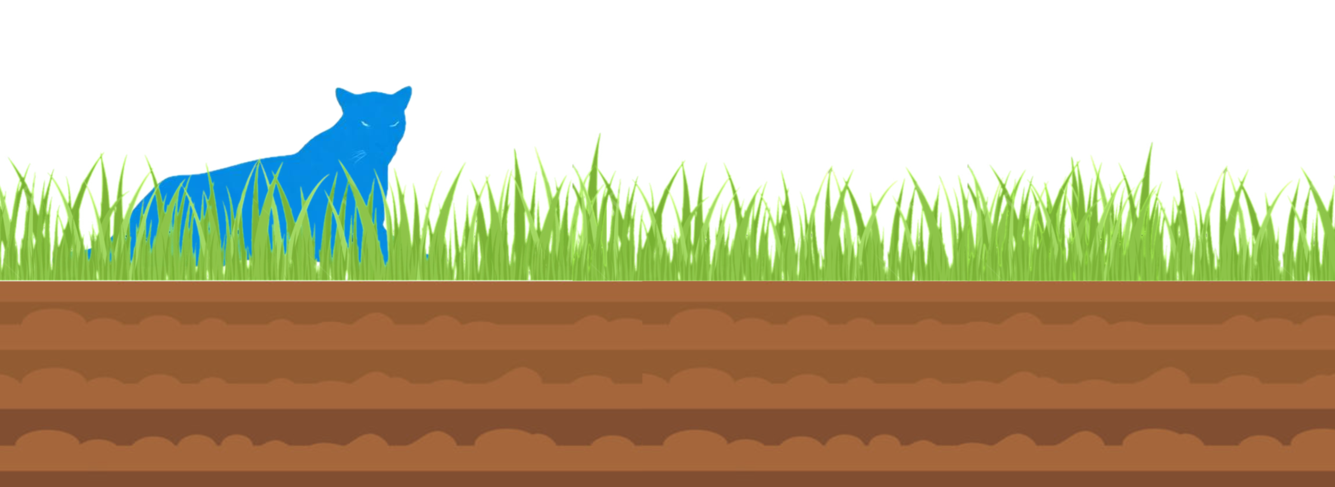Grass decoration